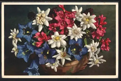 Foto-AK Emanuel Gyger: Edelweiss, Gentiana Kochiana, Rhododendron ferrugineum