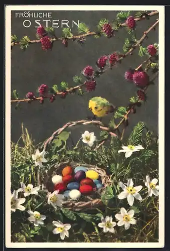 Foto-AK Emanuel Gyger: Osternest mit Vogel