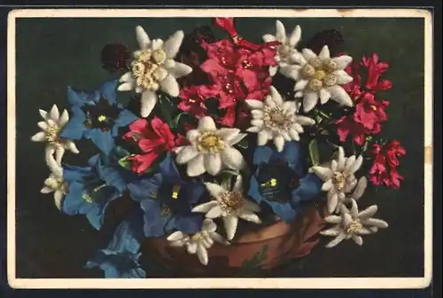 Foto-AK Emanuel Gyger: Edelweiss, Gentiana Kochiana, Rhododenron ferrugineum, Blumen