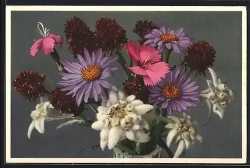 Foto-AK Emanuel Gyger: Dianthus silvester, Aster alpinus, Blumen