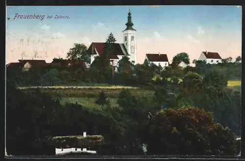 AK Frauenberg bei Leibnitz, Kirche mit Umgebung