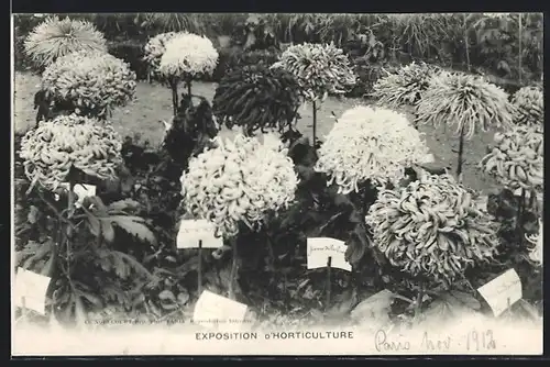 AK Paris, Exposition d`Horticulture