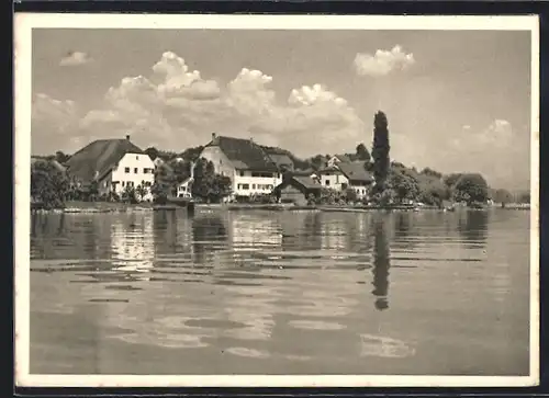 AK Ürikon am Zürichsee, Teilansicht mit Seeufer