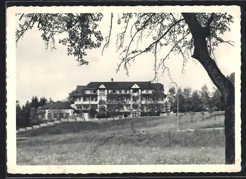 AK Rheinfelden, Blick auf Pension Eden