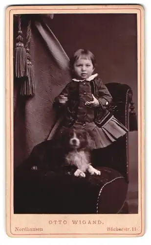 Fotografie Otto Wigand, Nordhausen, niedliches Mädchen mit ihrem Hund auf einem Sessel