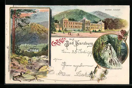 Lithographie Bad Harzburg, Harzburger Hof m. Burgberg, Radauwasserfall, Soolbad Juliushall