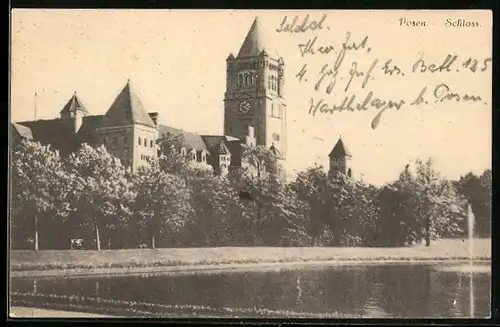AK Posen / Poznan, Blick auf das Schloss