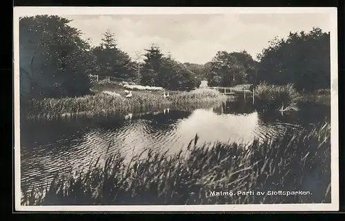 AK Malmö, Parti av Slottsparken