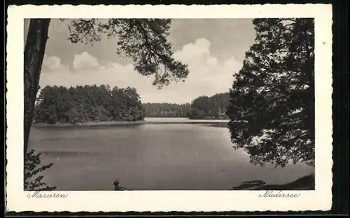 AK Niedersee /Masuren, Partie am Niedersee