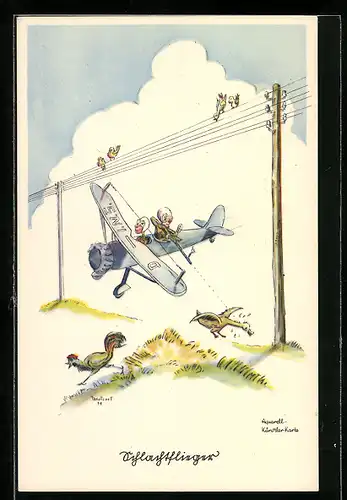 Künstler-AK Schlachtflieger, Auf der Jagd nach Vögeln vom Flieger aus