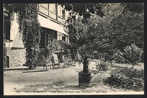 AK Montmorency, Villa Helvetia, Allee des Palmiers