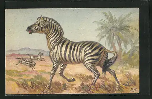Künstler-AK Zebras in der afrikanischen Steppe