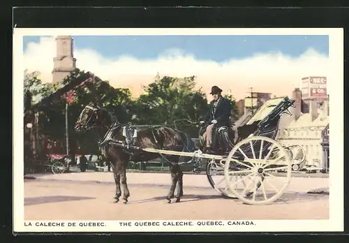 AK La Calèche de Quebec, Einspännige Pferdekutsche