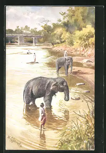 Künstler-AK Elefant beim Bad, daneben sein Führer