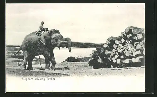 AK Arbeits-Elefant stapelt Holzbalken