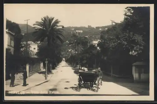 AK Nervi, Viale delle Palme