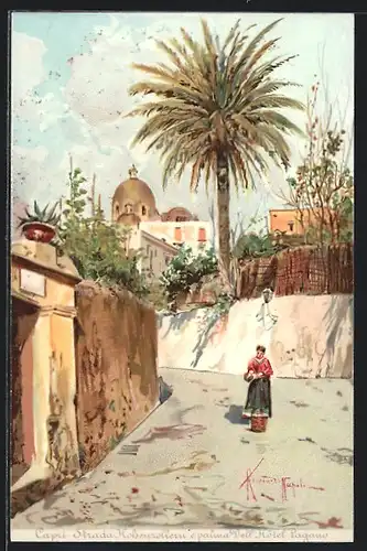 Lithographie Capri, Strada Hohenzollern e Palma dell`Hotel Pagano
