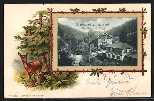 Passepartout-Lithographie Steinabad bei Bonndorf, Hotel von Jul. Vogt, Reh am Waldrand