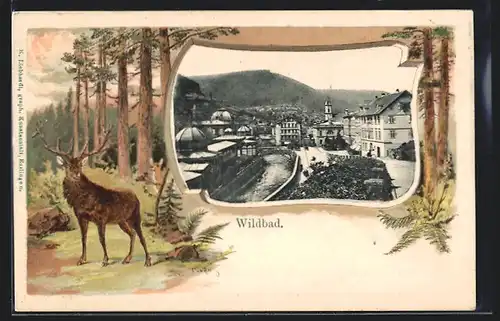Passepartout-Lithographie Wildbad, Strassenpartie am Fluss, Kapitaler Hirsch