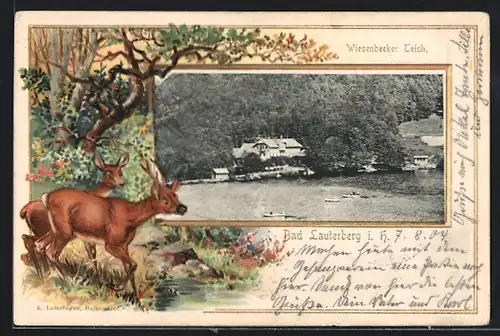 Passepartout-Lithographie Bad Lauterberg i. H., Am Wiesenbeeker Teich, Rehbock und Ricke