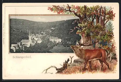 Passepartout-Lithographie Schlangenbad, Ortsansicht mit umliegenden Wäldern, röhrender Hirsch