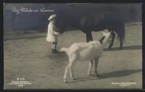 AK Prinz Wilhelm mit Pony und Ziege