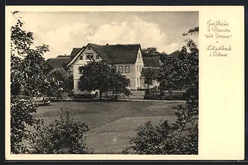 AK Lützelbach / Odenwald, Gasthaus & Pension Zur Sonne