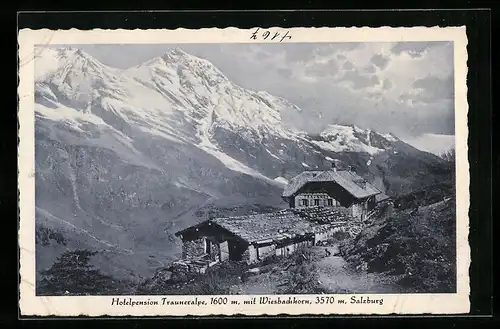 AK Salzburg, Hotelpension Trauneralpe mit Blick zum Wiesbachhorn