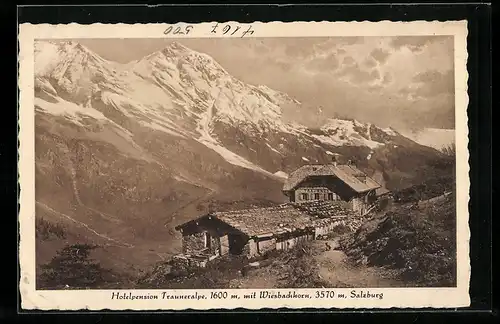 AK Salzburg, Blick von der Hotelpension Trauneralpe zum Wiesbachhorn