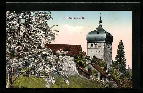 AK Bregenz, Turm in der Altstadt zur Baumblüte