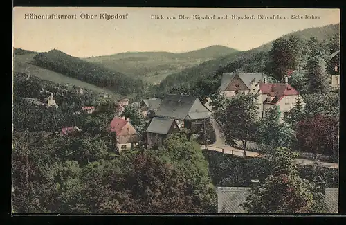 AK Ober-Kipsdorf, Blick von Ober-Kipsdorf nach Kipsdorf, Bärenfels und Schellerhau