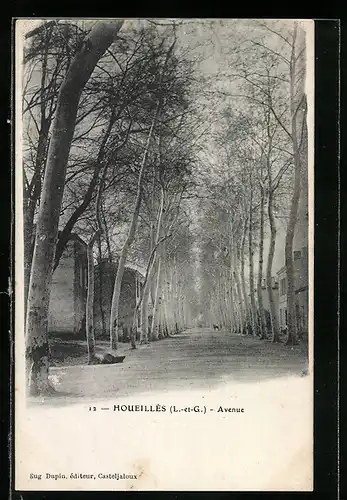 AK Houeilles, Avenue