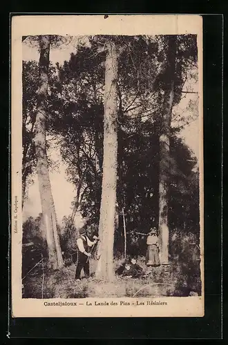 AK Casteljaloux, La Lande des Pins, Les Résiniers