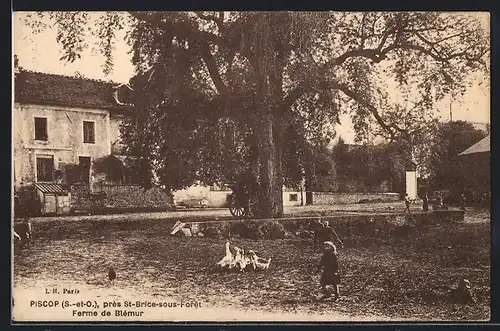 AK Piscop, Près St-Brice-sous-Foret, Ferme de Blémur