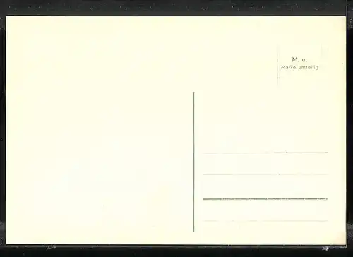 AK München, 43. Wanderausstellung der D.L.G. 1955 mit Reit- und Fahrturnier