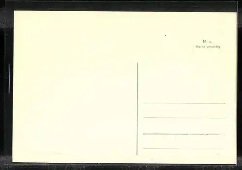 Künstler-AK München, 43. Wanderausstellung der D. L. G. mit Reit- und Fahrturnier 1955, Springreiter, Rind