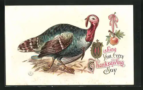 AK Truthahn stolziert langsam voran, Wishing you every Thanksgiving joy
