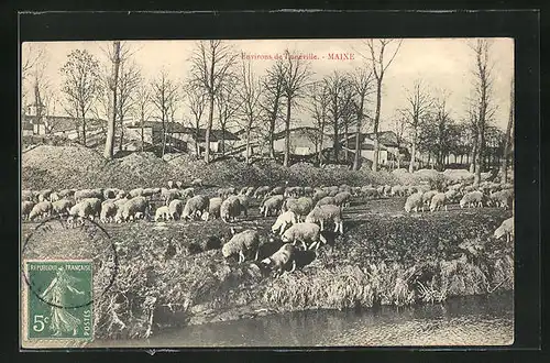 AK Maixe, troupeau de moutons