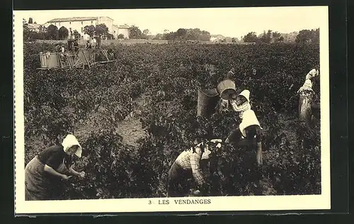 AK Les Vendanges, Frauen bei der Weinlese