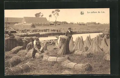 AK La Culture du Lin, on forme les bottes avant le rouissage, Flachs