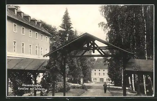 AK Alexandersbad, Kurallee mit Schloss