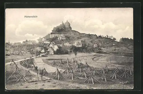 AK Hohenstein, Panoramablick auf Ort und Schloss