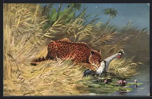 Künstler-AK M. Müller jun.: Leopard mit gerissenem Vogel am Ufer