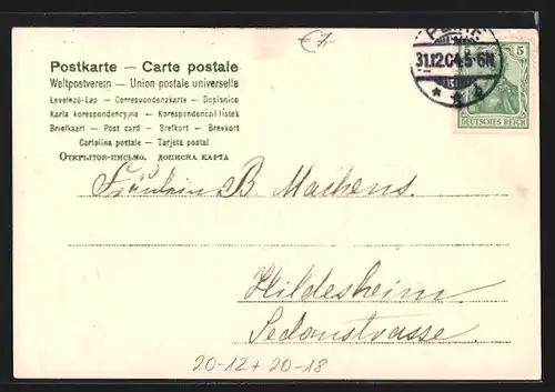 Lithographie Hufeisen bringt Glück für 1905