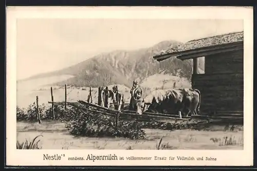 AK Nestles condens. Alpenmilch, Almbauern mit Kuh an der Tränke