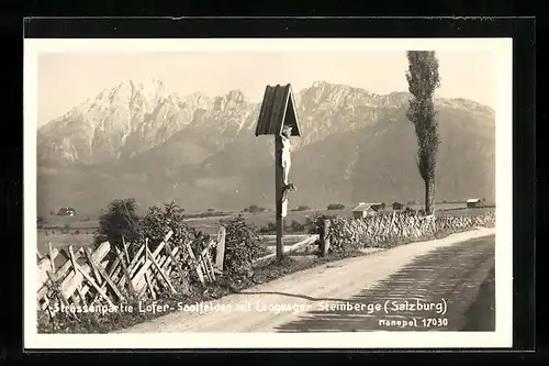 AK Lofer bei Saalfelden, Strassenpartie mit Leoganger Steinberge