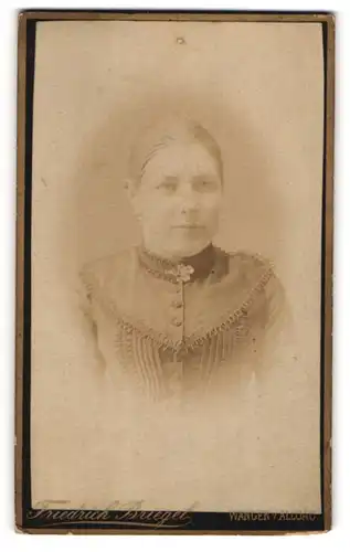 Fotografie Friedrich Briegel, Wangen /Allg., Dame mit zurückfrisierten Haaren und floraler Brosche