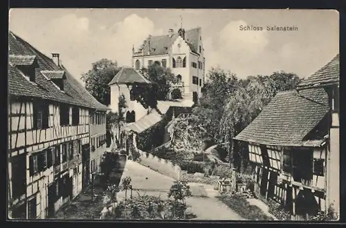AK Salenstein, Blick auf das Schloss