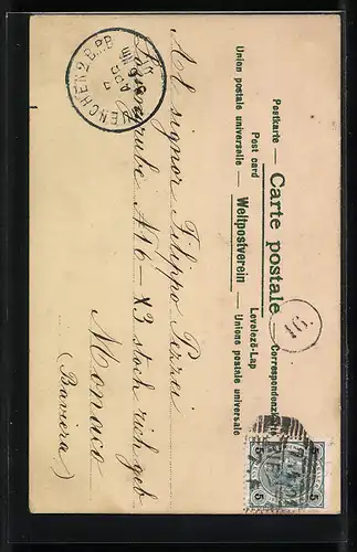 AK Engel trägt einen Tannenbaum