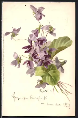 Künstler-AK Meissner & Buch (M&B) Nr. 1072: blühende Veilchen